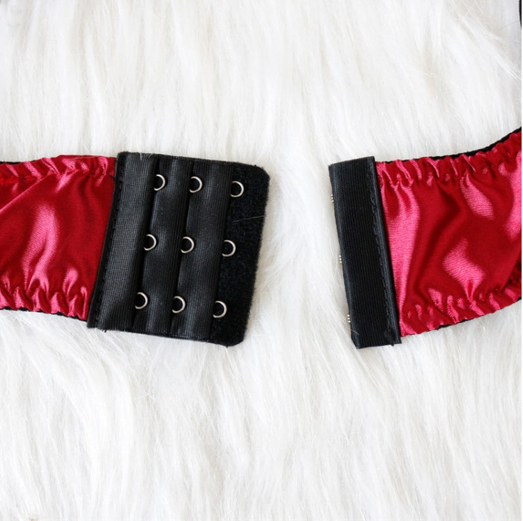 Lustful Desire Lingerie Bra Set